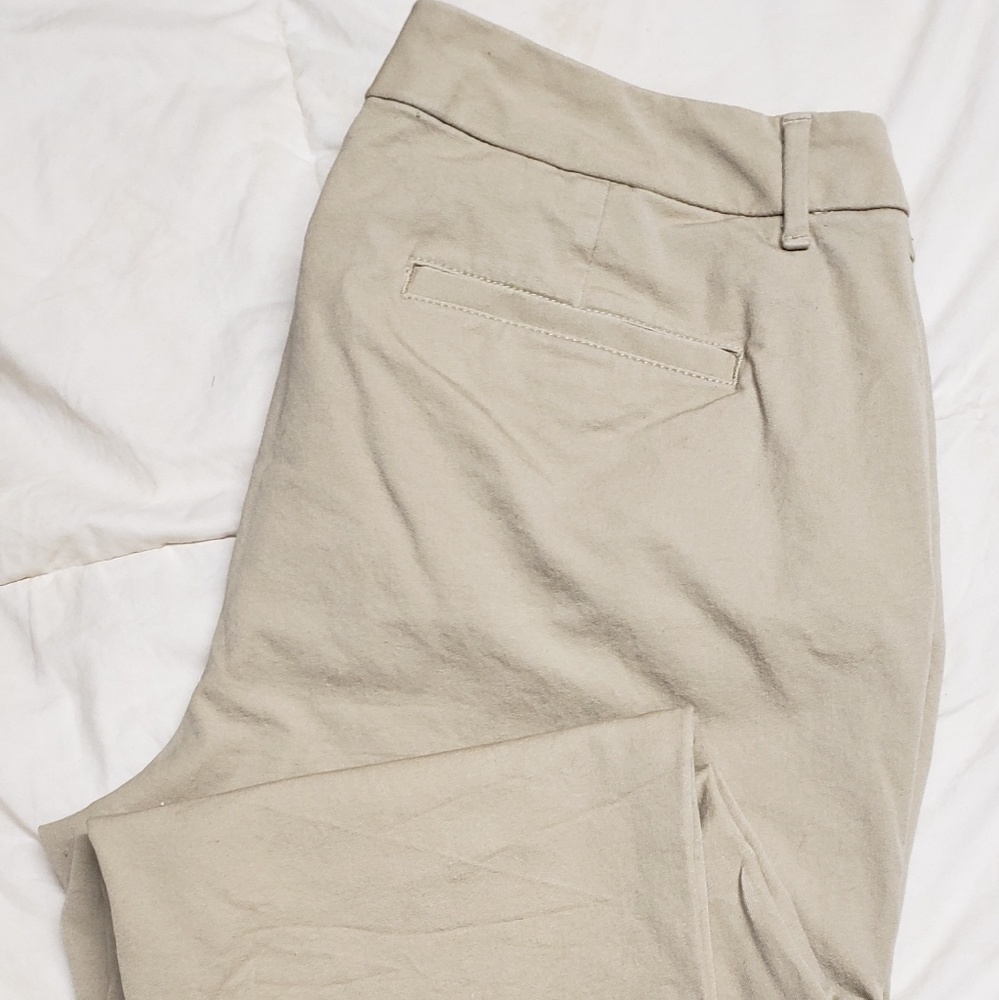 Ankle length dress pants